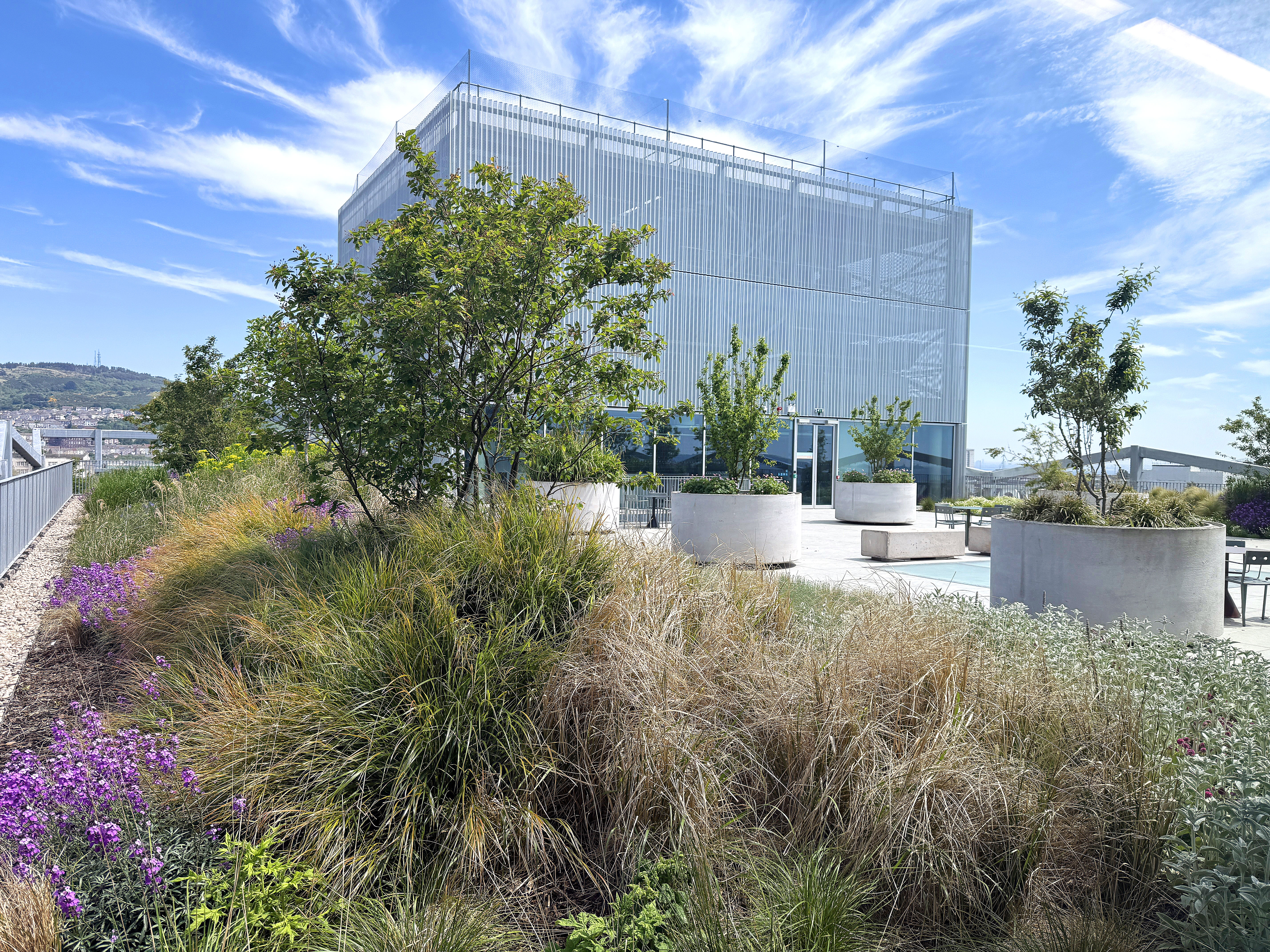 Landscape Architecture Photo